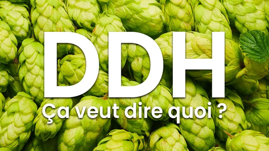 DDH ? Ça veut dire quoi ?