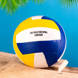 VolleyBall Piggy