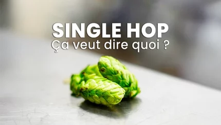 Single Hop ? Ça veut dire quoi ? 🤔🧠