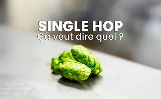 Single Hop ? Ça veut dire quoi ? 🤔🧠