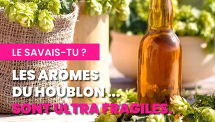 Les arômes du houblon sont ultra fragiles ⏳
