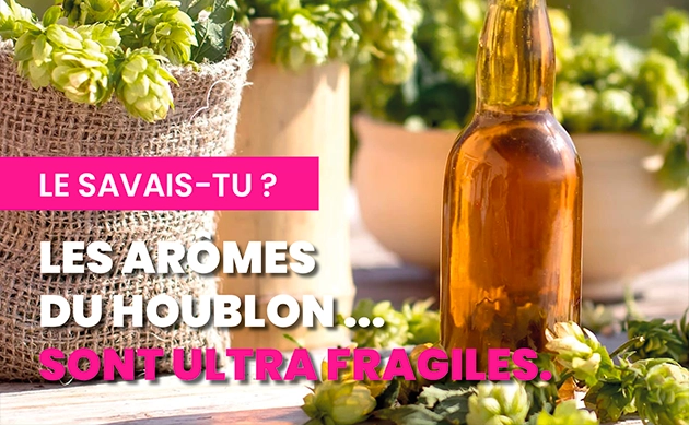 Les arômes du houblon sont ultra fragiles ⏳